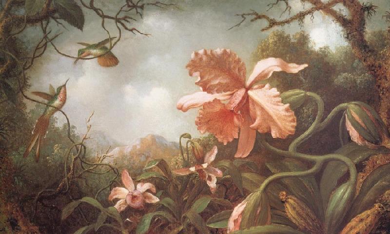 Martin Johnson Heade The Hummingbirds and Two Varieties of Orchids Spain oil painting art